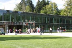 IMG 0775